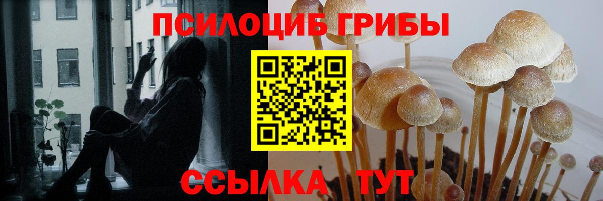 Псилоцибиновые грибы Magic Shrooms  Вход с VPN  Галлюциногенные грибы мицелий  Ставрополь 